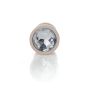 Plug-Jewellery Pearl Gold PLUG- Clear M - 5