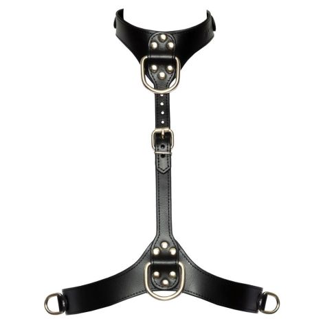 Bad Kitty Chest Harness S-L - 6