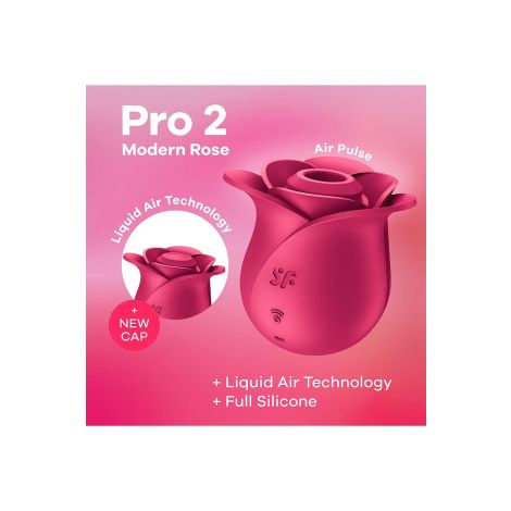 Pro 2 Modern Rose - 7