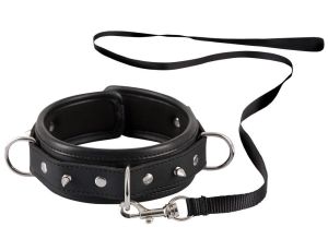 Collar Leash - image 2