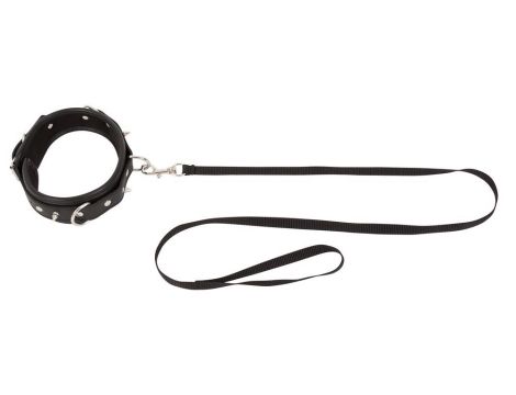 Collar Leash - 3