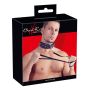 Collar Leash - 2