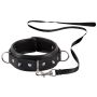 Collar Leash - 3