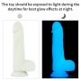 Lumino Play Dildo - 4