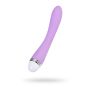 Vibrator Flovetta by Toyfa Lantana, silicone, purple, 22 cm - 2