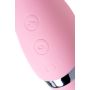 Multifunctional erogenous zone stimulator Flovetta by Toyfa DAHLIA, silicone, pink, 14 cm - 14