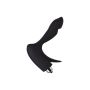 EROTIST First prostate stimulator, silicone, black, 14.4 cm - 5