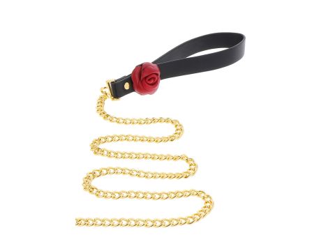 Wild Roses Collar & Leash Black - 8