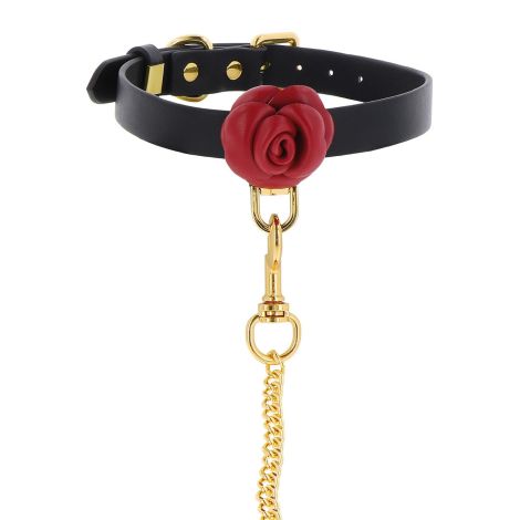 Wild Roses Collar & Leash Black - 7