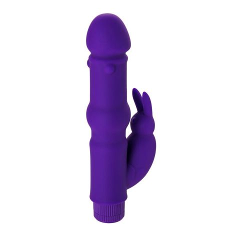 A-TOYS, Vibrator with clitoral stim, Silicone, Purple, 18 cm - 6