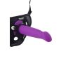 Goodhead Dong 6 Inch Purple - 6