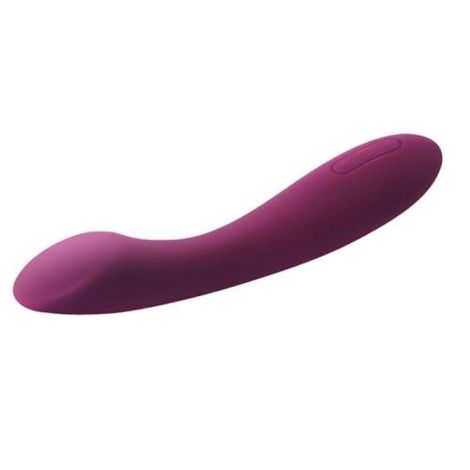 SVAKOM - AMY 2 G-Spot & Clitoral Vibrator - Violet - 3